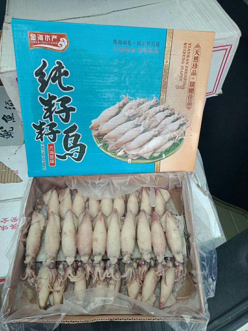 全籽海兔