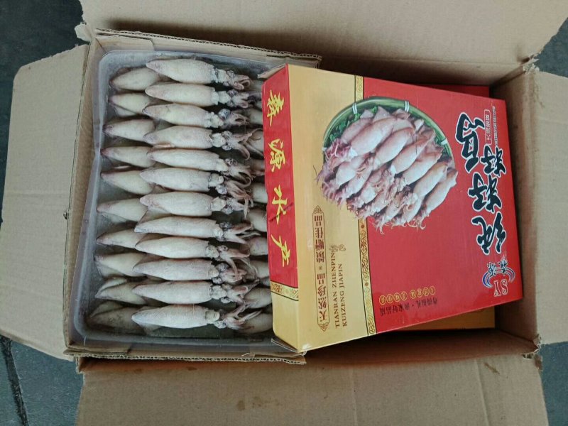 全籽海兔
