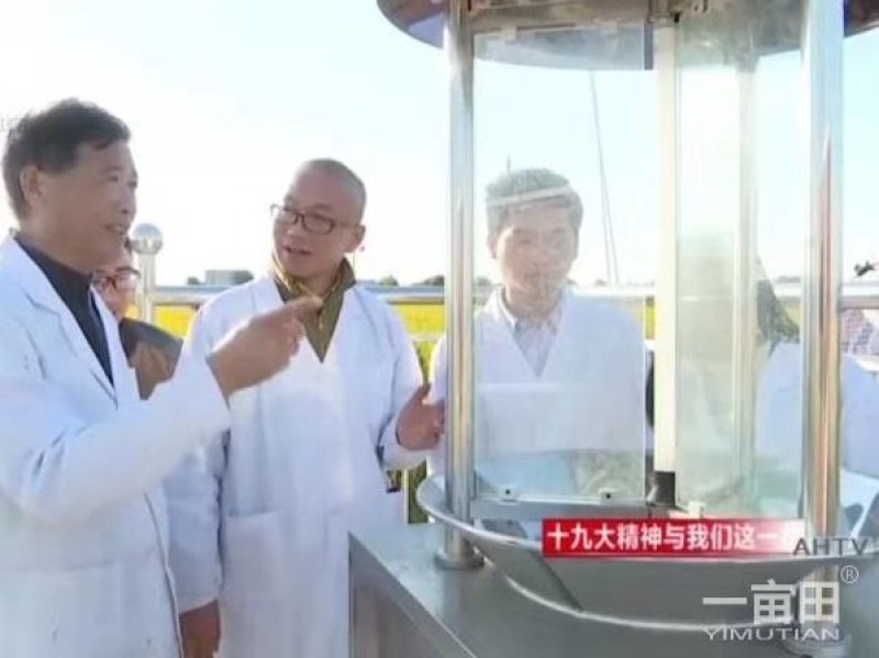 稻鸭共生稻虾工作