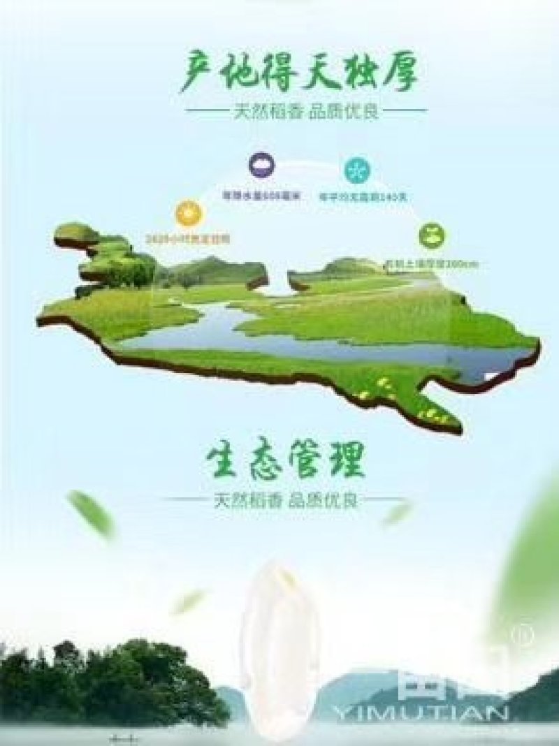 稻鸭共生稻虾工作