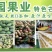 大量批发攀枝花本地芒果干