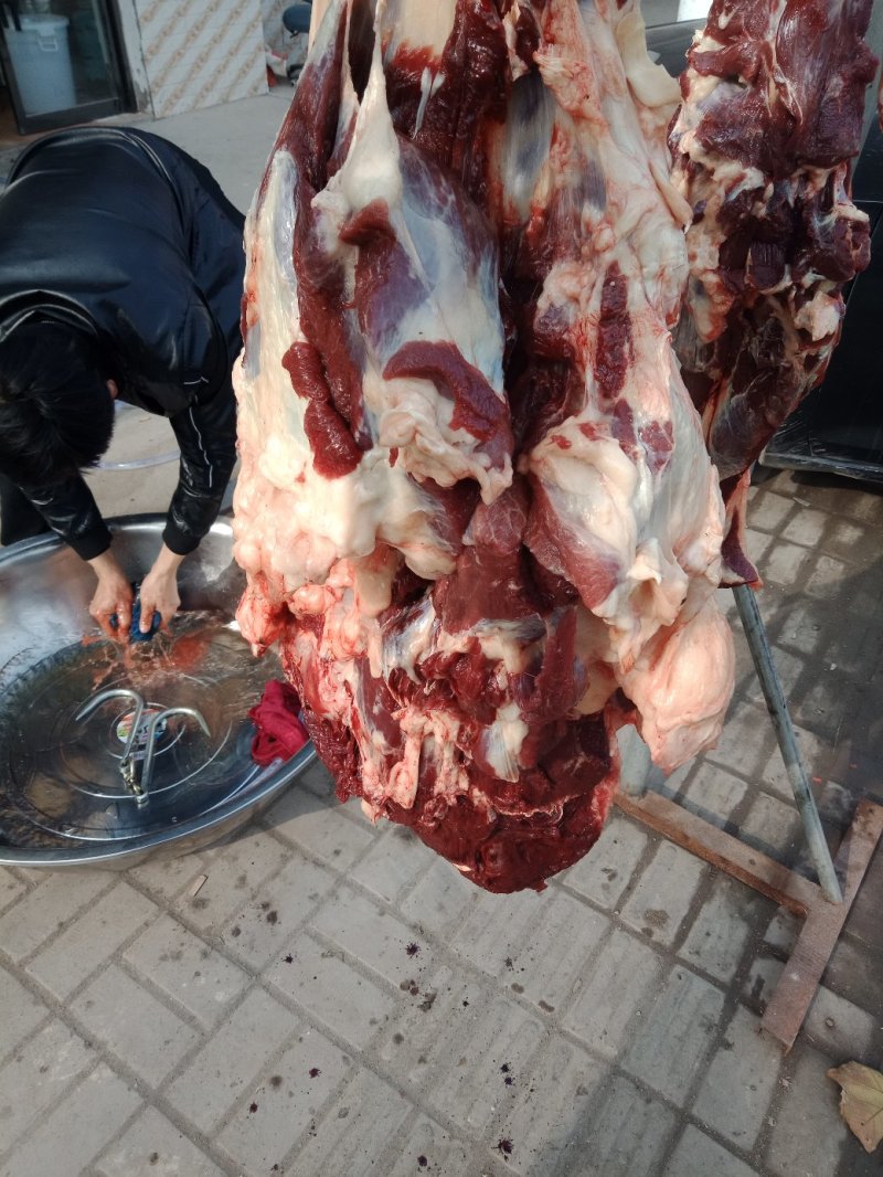 曹县(位湾）马家驴肉，曹县汽车站对面