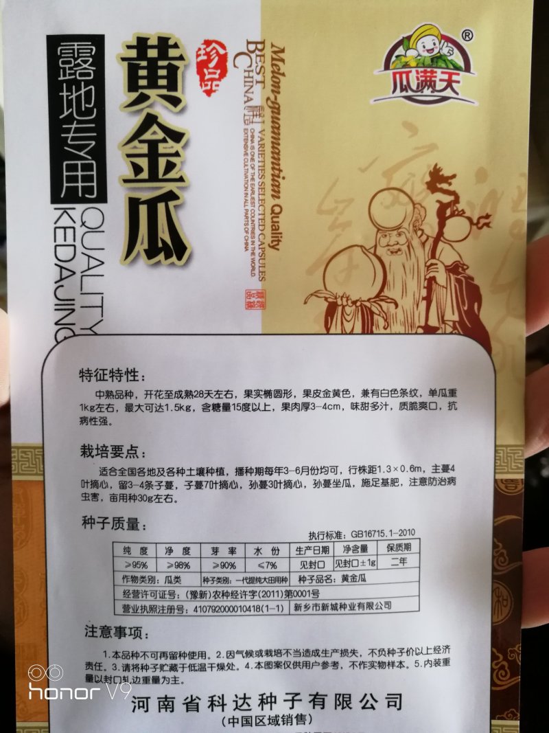 黄金甜瓜种子表皮金黄口感好甜度高果实均匀耐储运条纹瓜