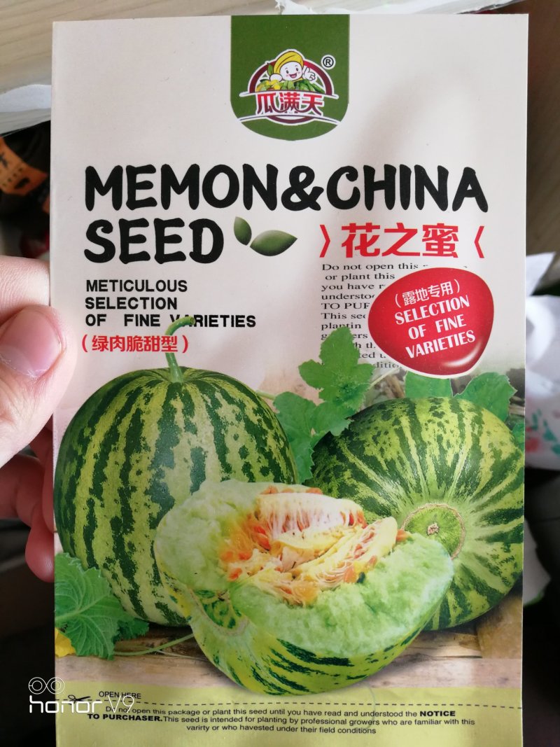 【优质】蜜香花纹甜瓜种子口感好品质佳耐储运