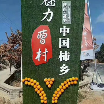 柿饼