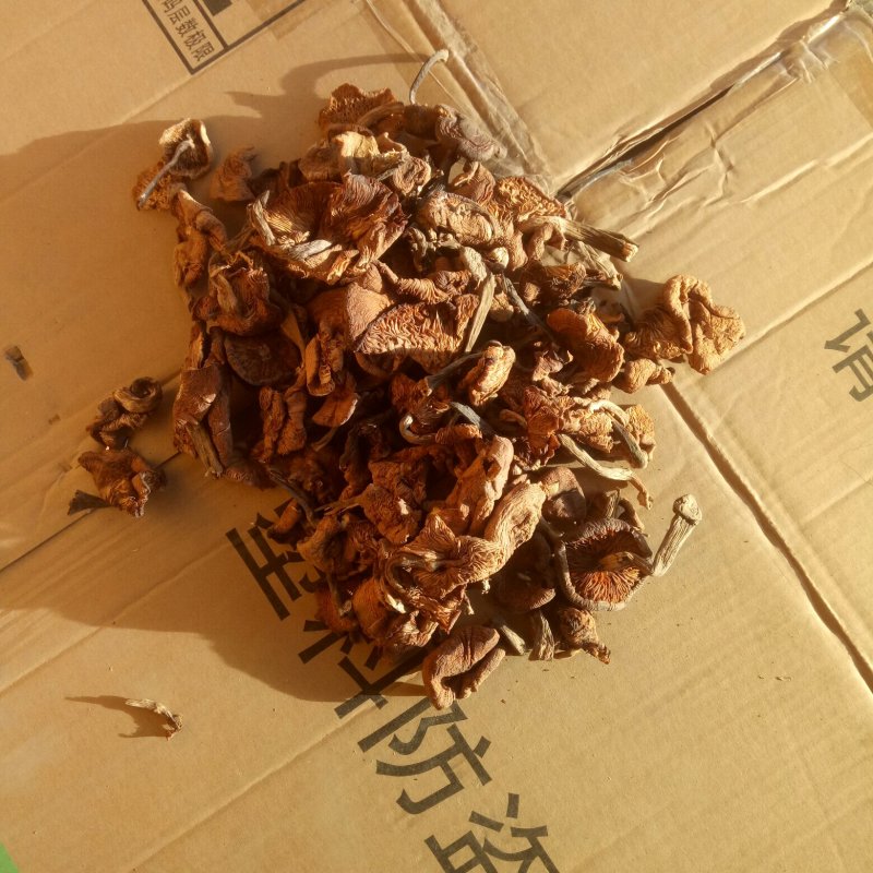 榛蘑干