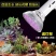 植物灯LED园林助长照明