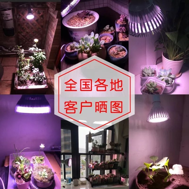 植物灯LED园林助长照明