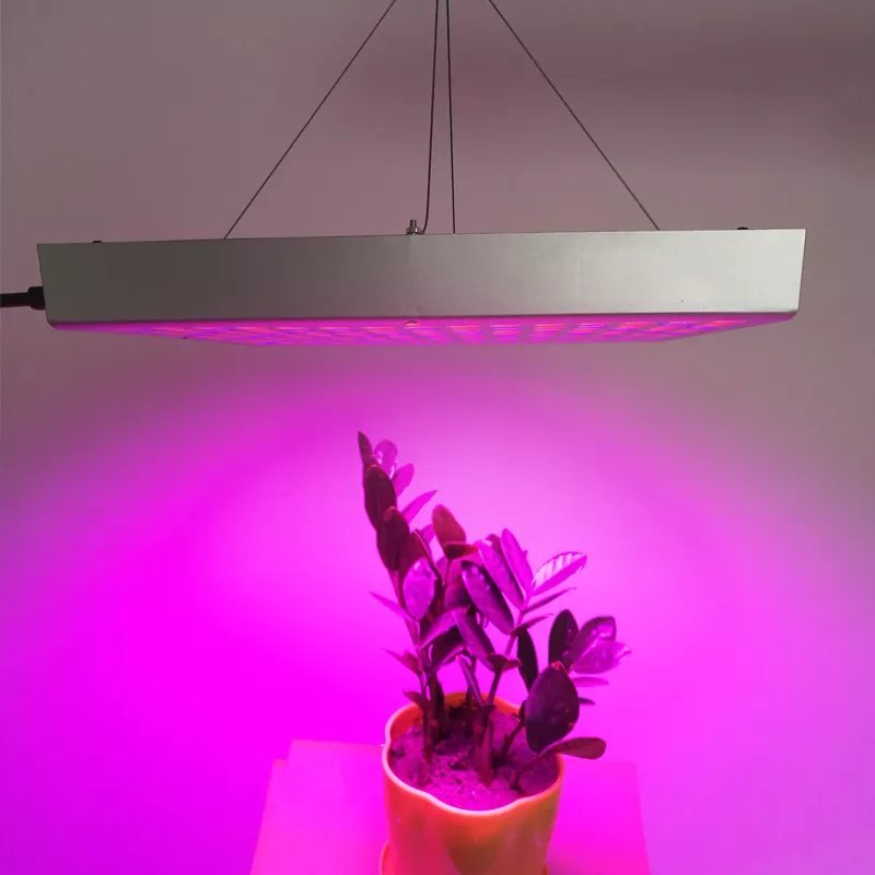 植物灯LED园林助长照明
