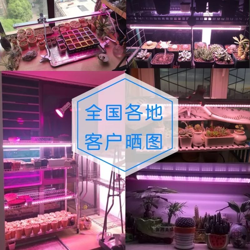 植物灯LED园林助长照明