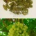 葡萄干