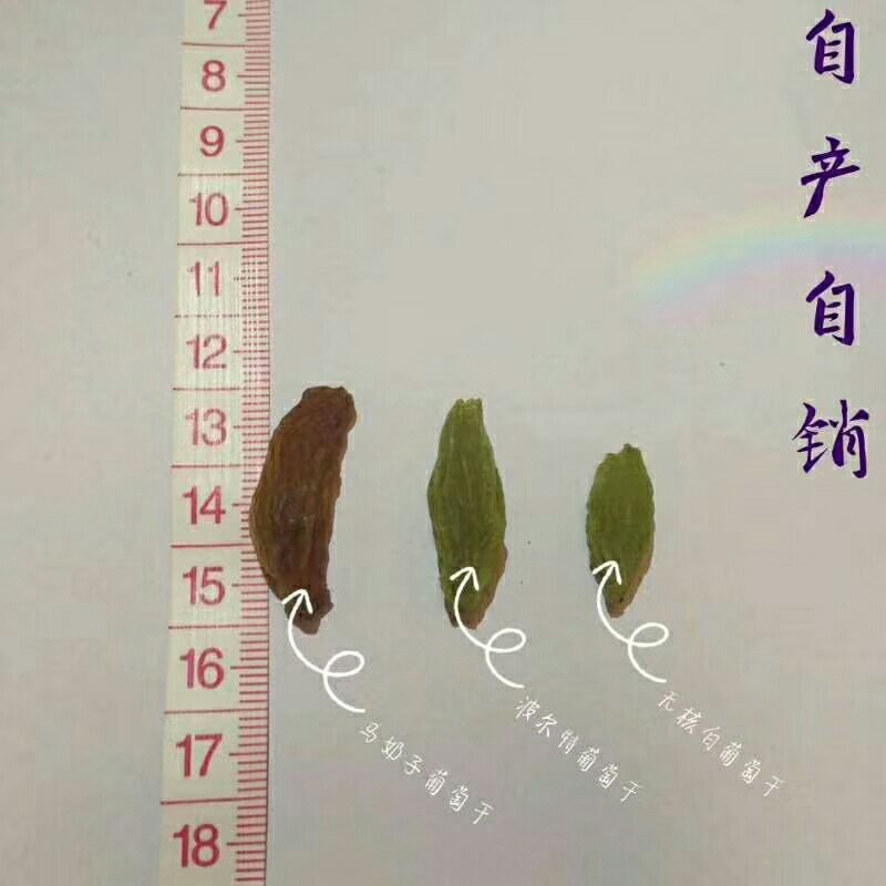 葡萄干