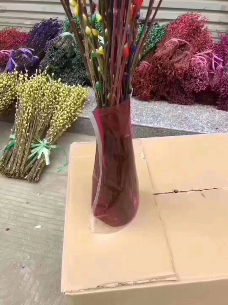 韩国七彩柳，银柳，棉花柳