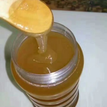 中蜂蜜