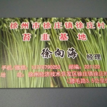 中华四季苔韭王韭菜种子