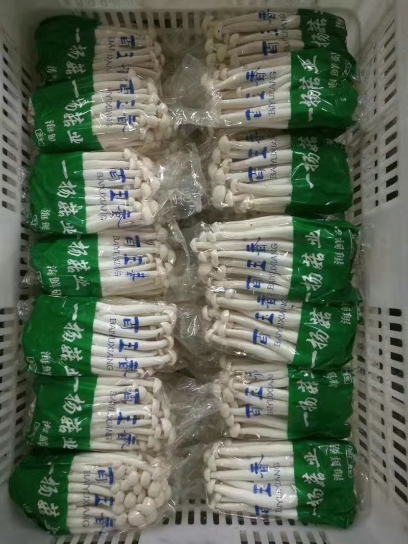 海鲜菇鲜菇