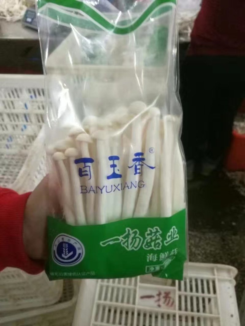 海鲜菇鲜菇