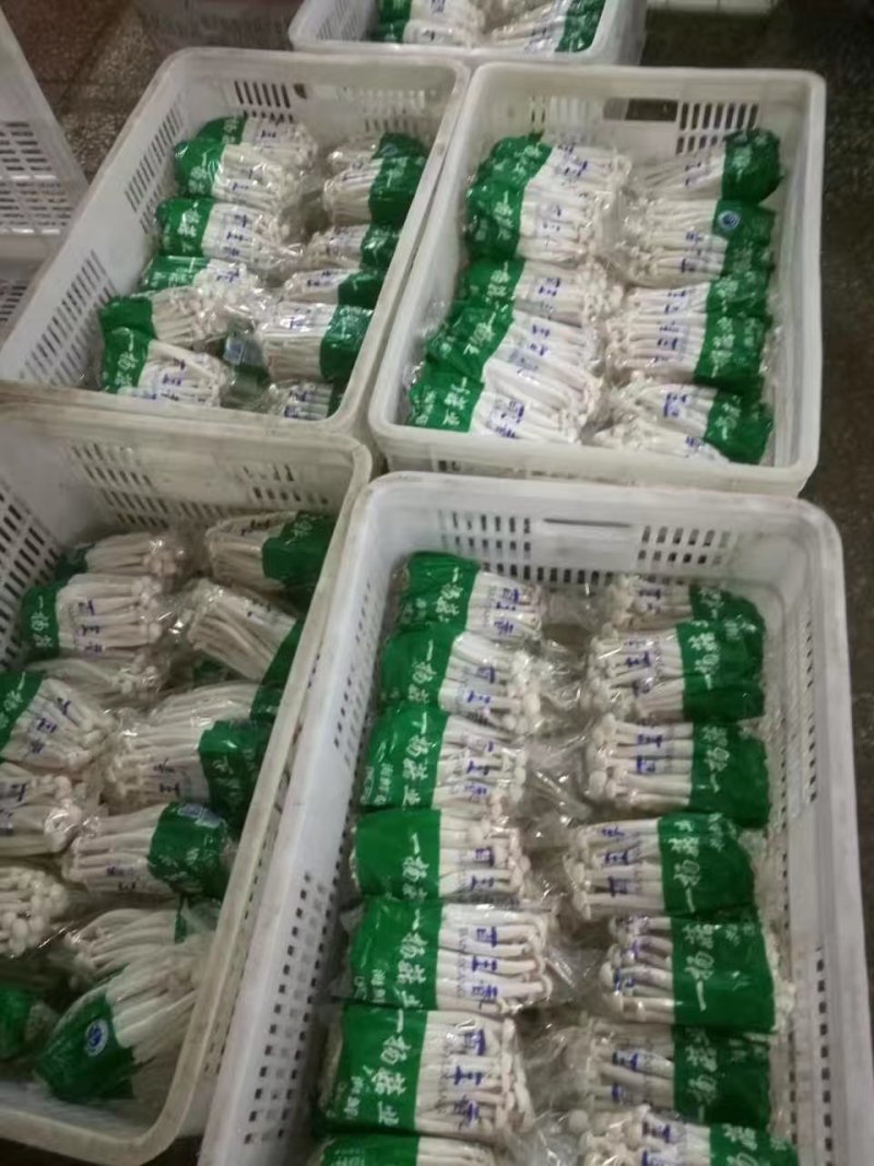 海鲜菇鲜菇
