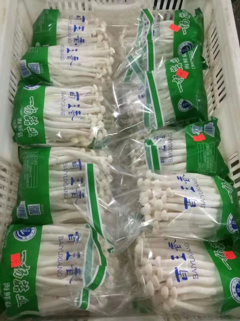 海鲜菇鲜菇
