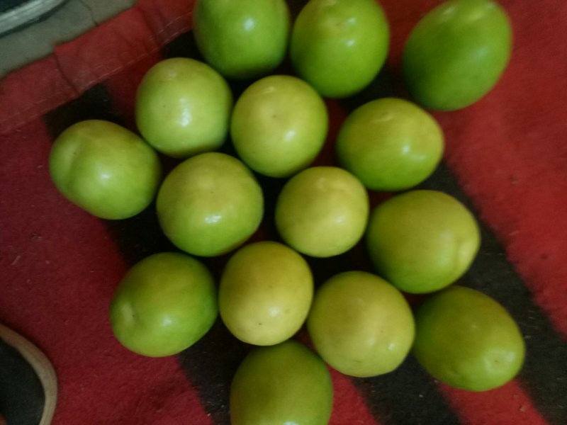 青枣