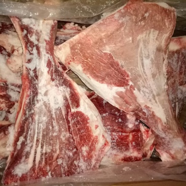 牛力骨扇子骨