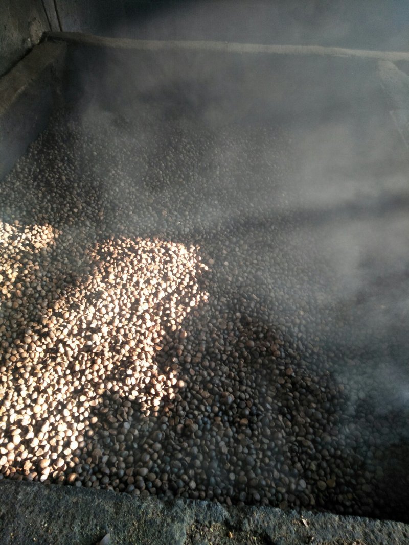 山茶油
