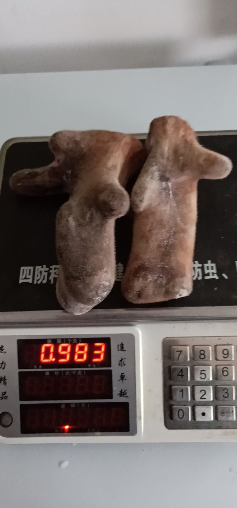 鹿茸