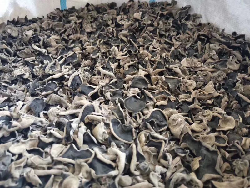 鹿茸