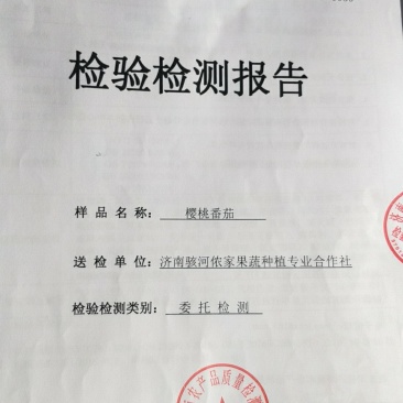进口和国内顶级品种