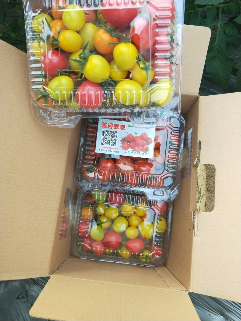 进口和国内顶级品种