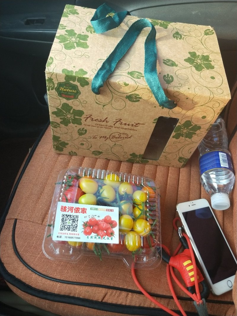 进口和国内顶级品种