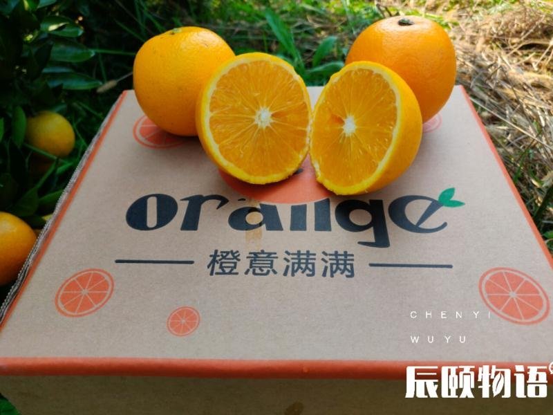 麻阳橙