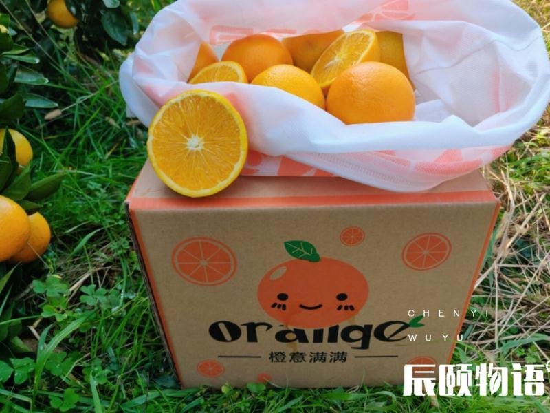 麻阳橙