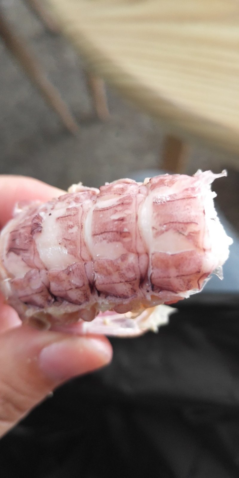 虾爬
