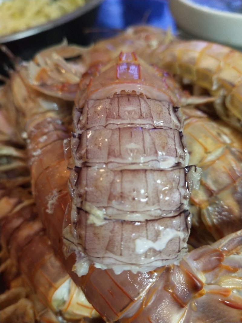 虾爬