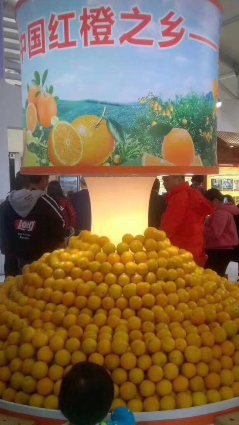 红江橙
