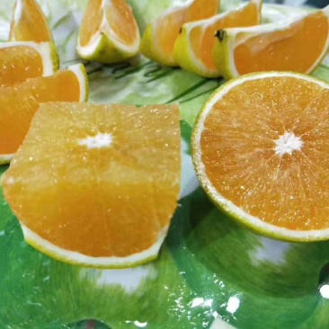 红江橙