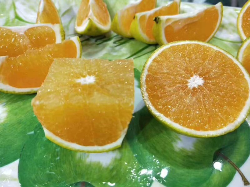 红江橙