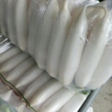 白萝卜1.5~2斤起