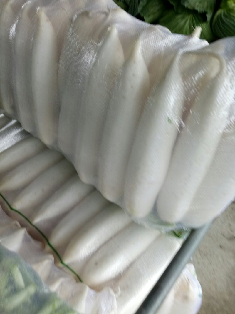 白萝卜1.5~2斤起