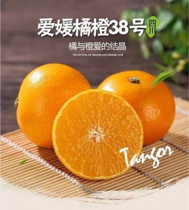 爱缘38爱媛与你接缘，红美人，爱美人，果冻橙十斤装包邮