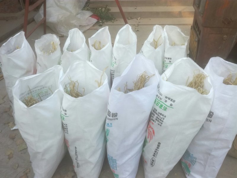 纯红薯手工粉条包邮