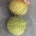 干尧榴莲