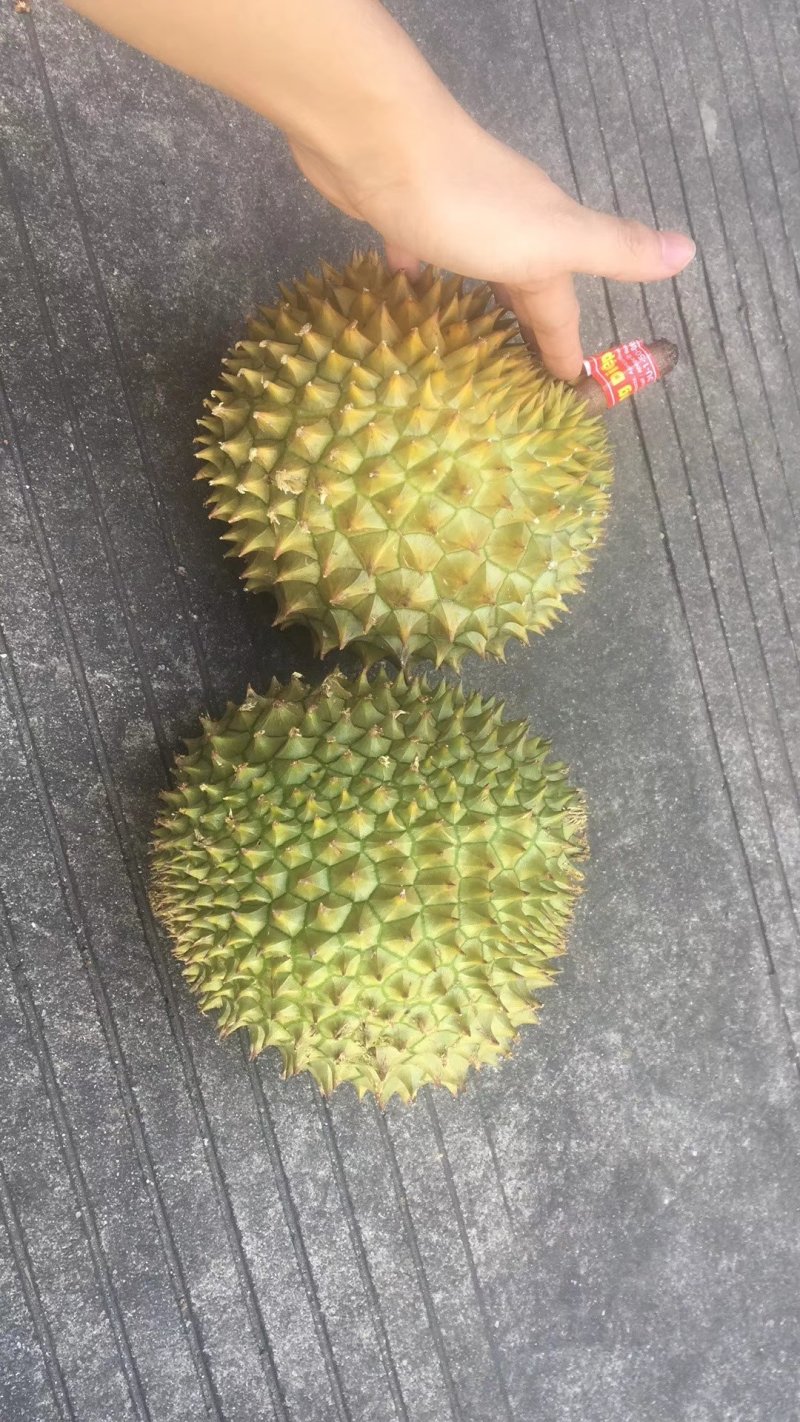 干尧榴莲