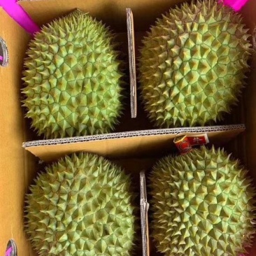 干尧榴莲
