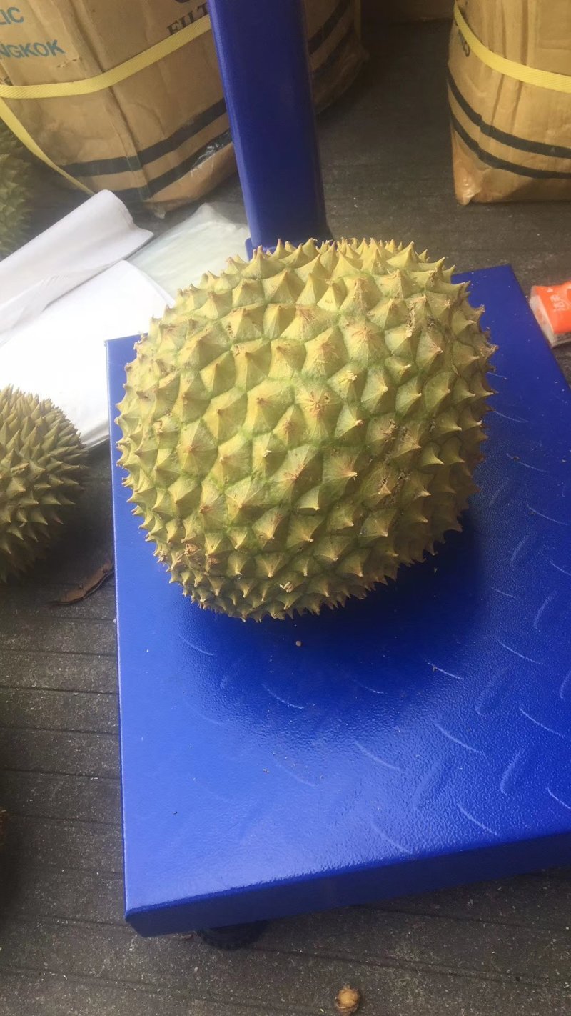 干尧榴莲