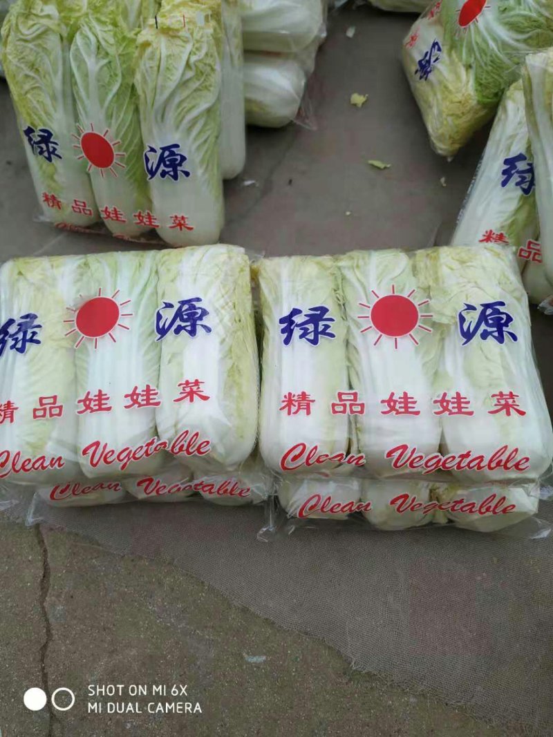 精品，优质娃娃菜大量现货出售中！……