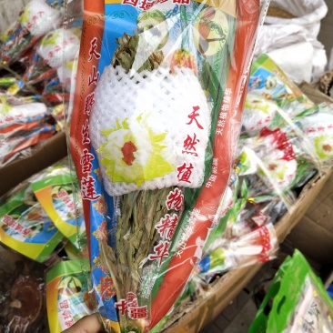 天山雪莲雪莲花5支起包邮