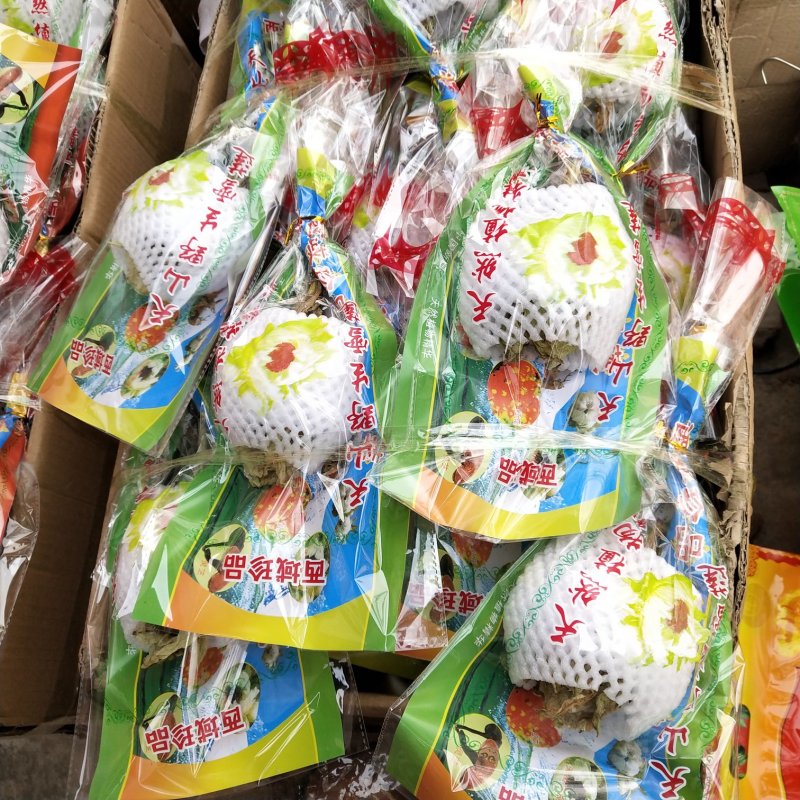 天山雪莲雪莲花5支起包邮