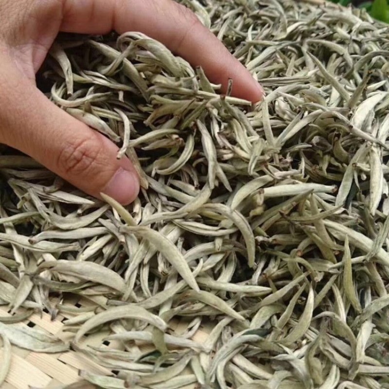 月光白